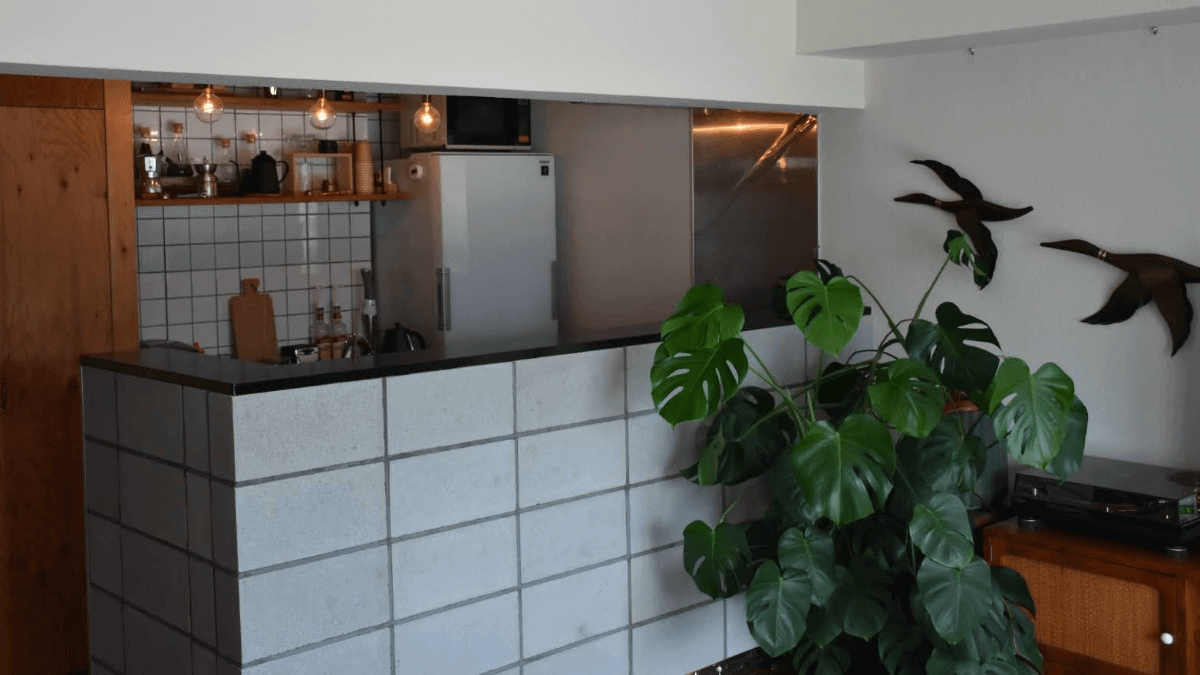 初心者におすすめ 見た目で選ぶ オシャレで育てやすい観葉植物９選 1up Diy